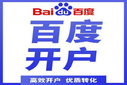 某知名品牌SEM运营策略及效果评估