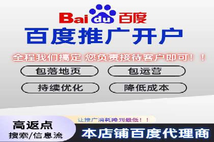 百度竞价托管外包服务案例：提升广告投放效率的秘诀